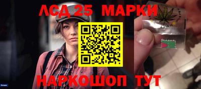 стафф Камышлов