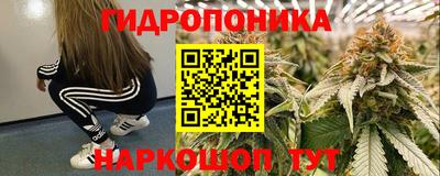 стафф Камышлов