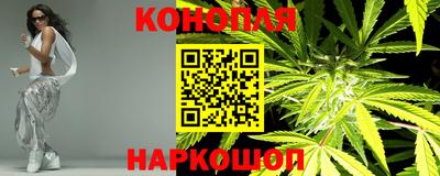 стафф Камышлов