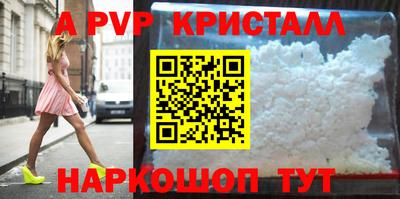 стафф Камышлов