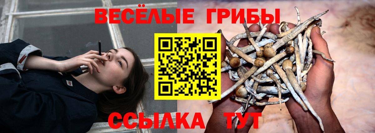 Псилоцибиновые грибы MAGIC MUSHROOMS  Вход с VPN  Чистополь 