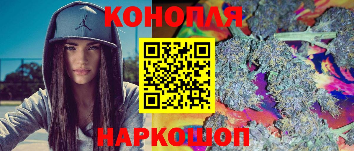 Бошки Шишки планчик Чистополь